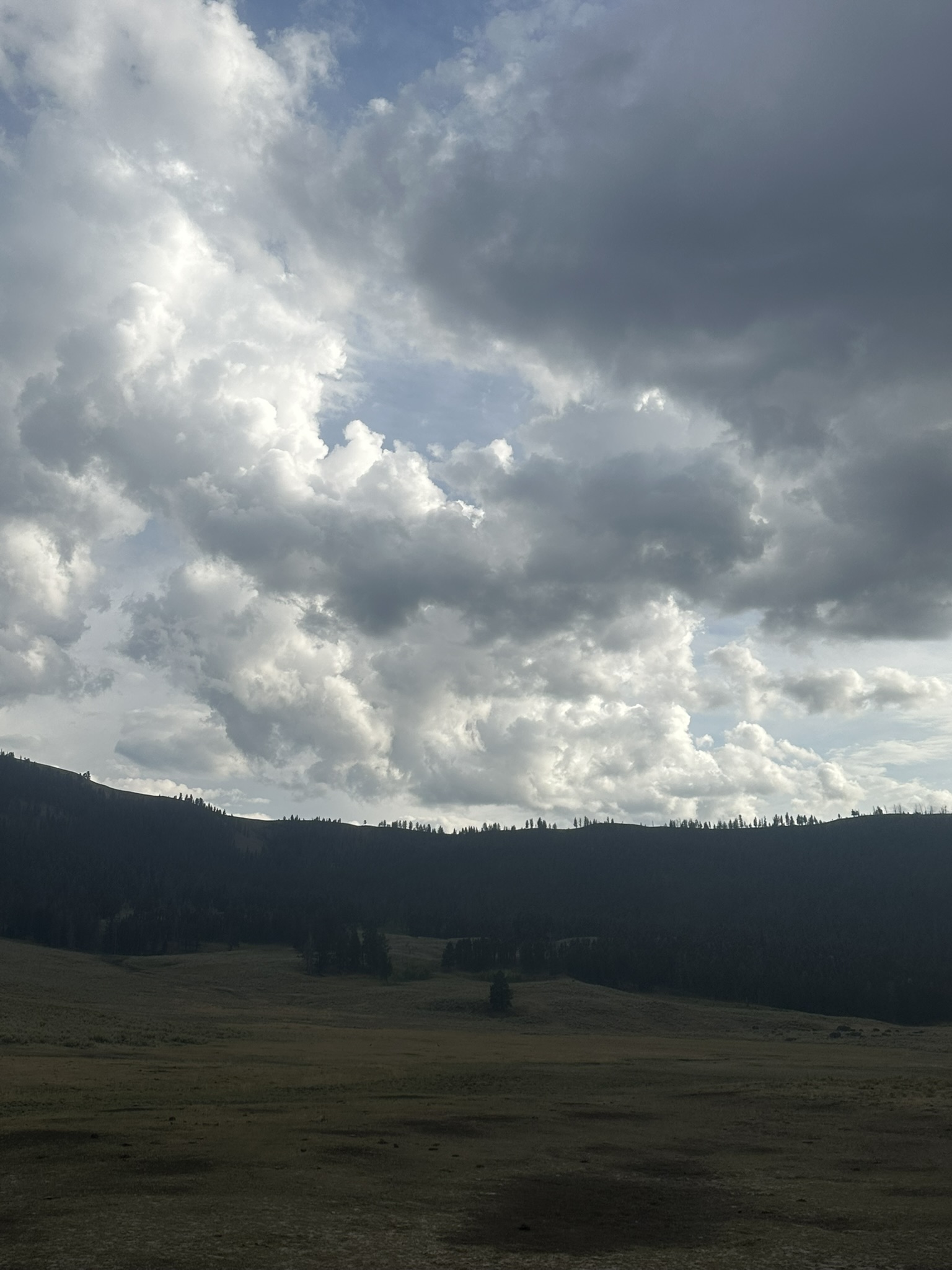 Yellowstone And Grand Teton National Parks - Image 1087